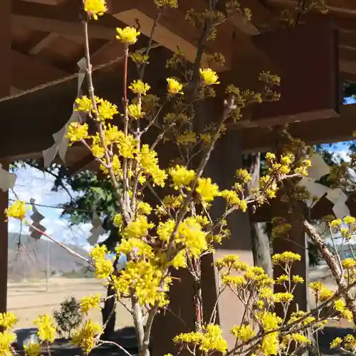 高司神社〜むすびの神の鎮まる社〜(福島県)