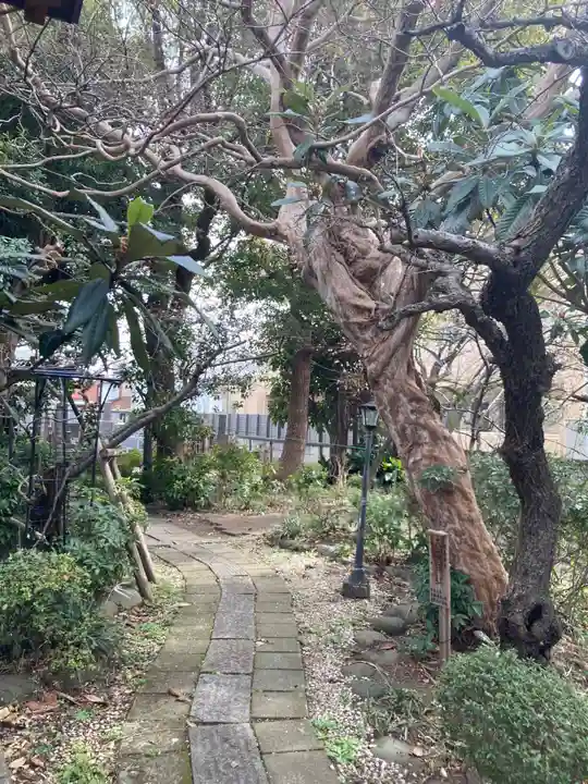 教善寺(神奈川県)