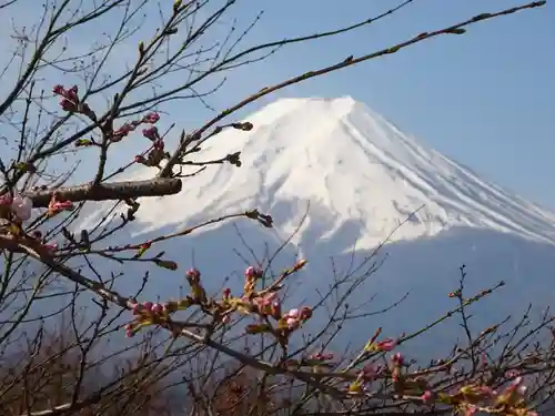 新倉富士浅間神社の景色