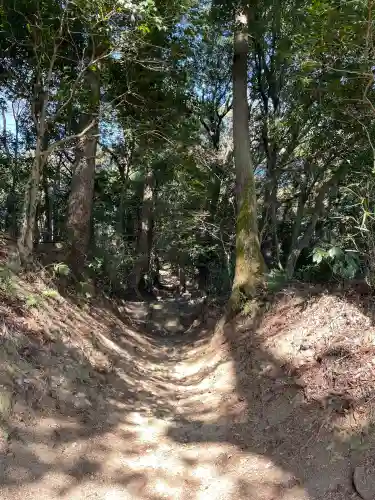 白山宮の{uncategorized: "未分類", other: "その他", undefined: "問題あり", building: "その他建物", grave: "お墓", sacred_gate: "鳥居", guardian: "狛犬", statue: "像", buddha: "仏像", history: "歴史", nature: "自然", garden: "庭園", animal: "動物", pagoda: "塔", temizu: "手水舎", mountain_gate: "山門・神門", sanctuary: "本殿・本堂", subordinate: "末社・摂社", art: "芸術", scenery: "景色", jizo: "地蔵", ema: "絵馬", goshuin: "御朱印", omikuji: "おみくじ", items: "授与品その他", amulet: "お守り", goshuincho: "御朱印帳", eats: "食事", festival: "お祭り", votive_dance: "神楽", shichigosan: "七五三参", wedding: "結婚式", experience: "体験その他", initially: "初詣", around: "周辺", anti_infection: "感染症対策"}