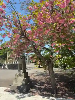 住吉神社(北海道)