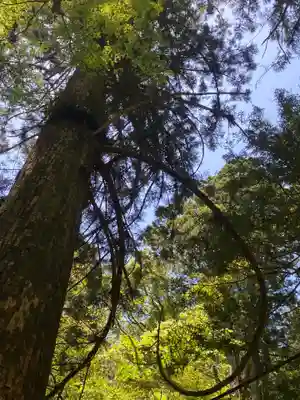 鳳来山東照宮(愛知県)