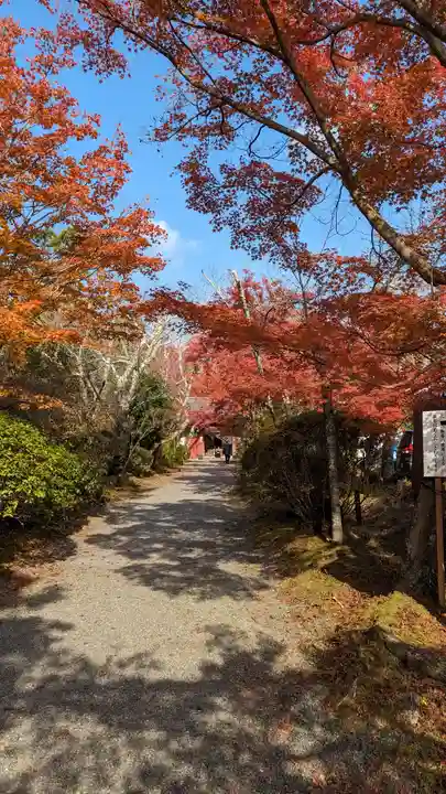 常照寺(京都府)