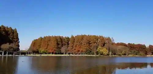 徳島稲荷神社(埼玉県)