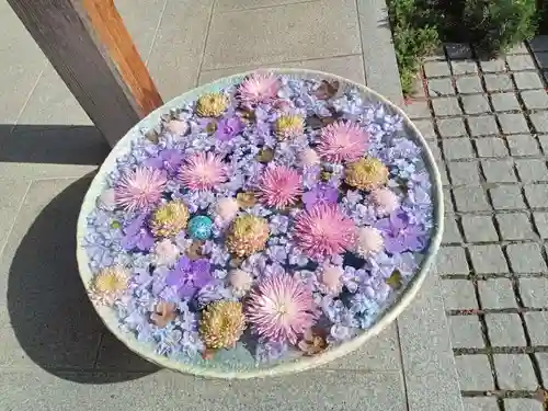 行田八幡神社の手水