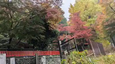 観音寺（山崎聖天）(京都府)