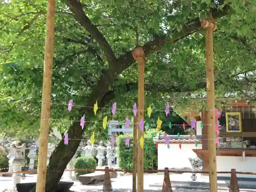 伊和志津神社の庭園