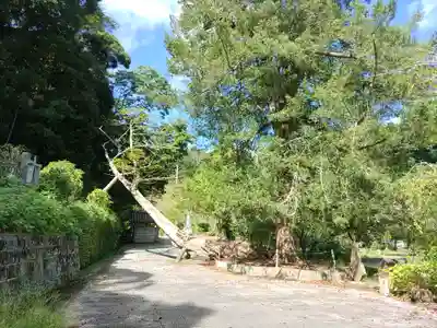 日運寺(千葉県)