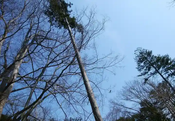 長沼神社(北海道)