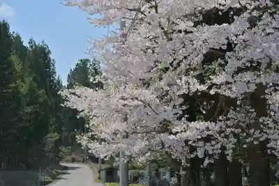 妙高寺(新潟県)