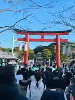 鶴岡八幡宮の初詣