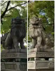 湊川神社の狛犬