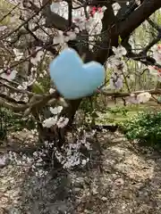 平岸天満宮・太平山三吉神社(北海道)