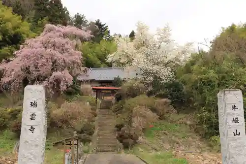 瑞雲寺の景色