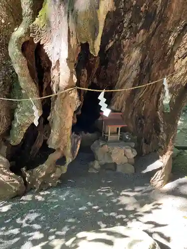 來宮神社(静岡県)