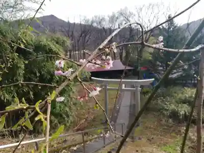 米倉神社の自然