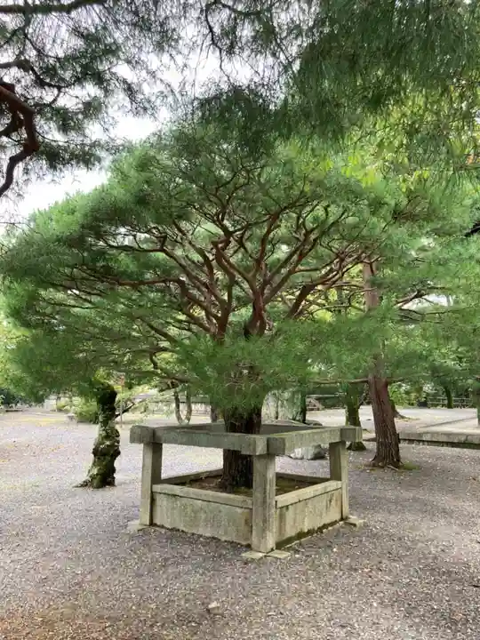 知恩院(京都府)
