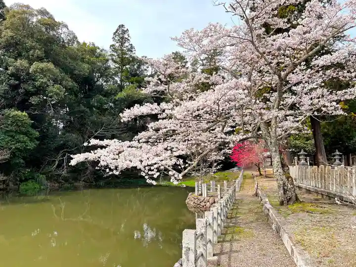 大嶋神社奥津嶋神社(滋賀県)