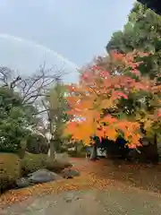 楽水亭　大龍寺の自然