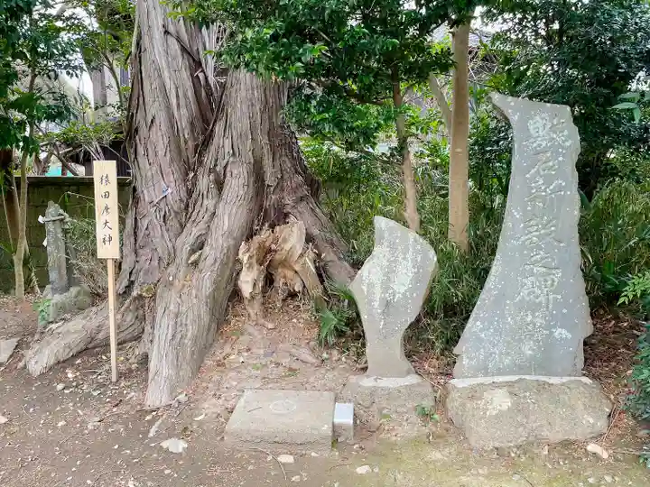 星宮神社(栃木県)