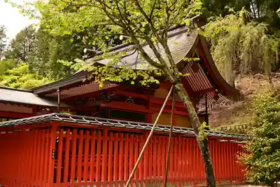 金櫻神社(山梨県)