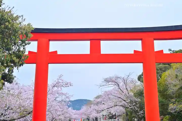 富士山本宮浅間大社(静岡県)