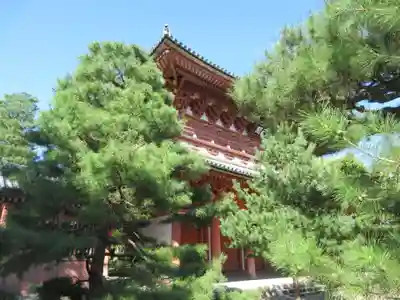 大徳寺の山門・神門