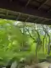 主乃雅神社(京都府)