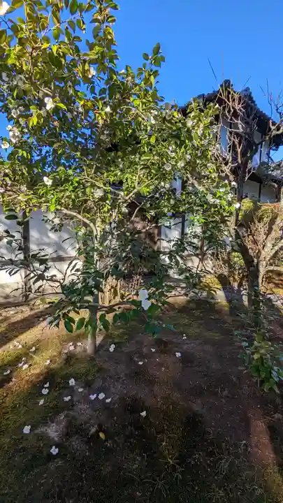 一華院(京都府)