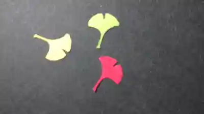 日蓮宗 総本山 塔頭 定林坊(じょうりんぼう)のその他建物