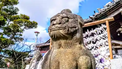 岡崎天満宮の狛犬