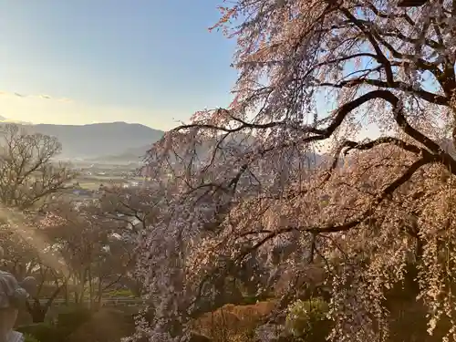 長谷寺(長野県)