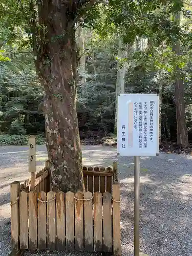 丹生神社の自然