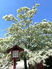 岡湊神社(福岡県)