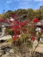 東光寺の自然