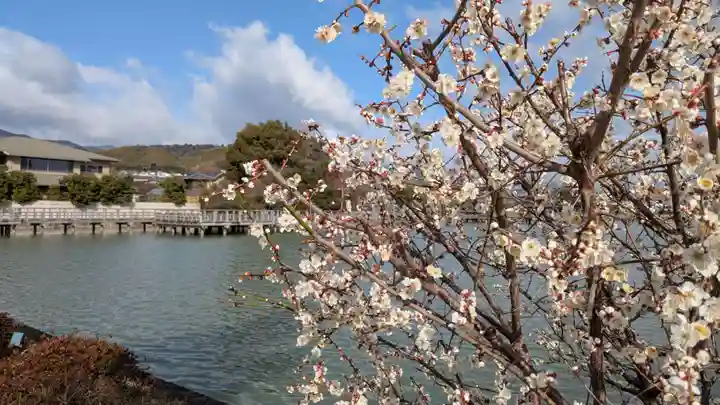 長岡天満宮の庭園