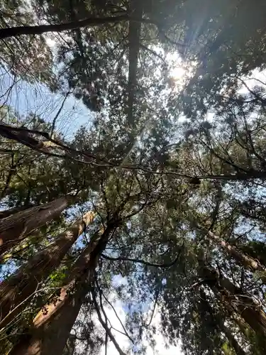 花園神社(茨城県)