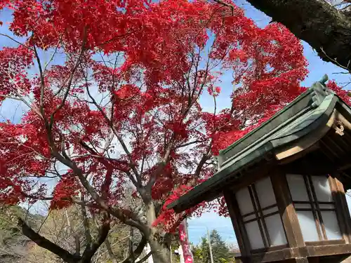 高麗神社(埼玉県)