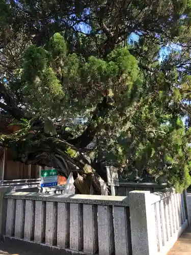 高砂神社の庭園