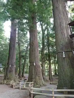 河口浅間神社のその他建物