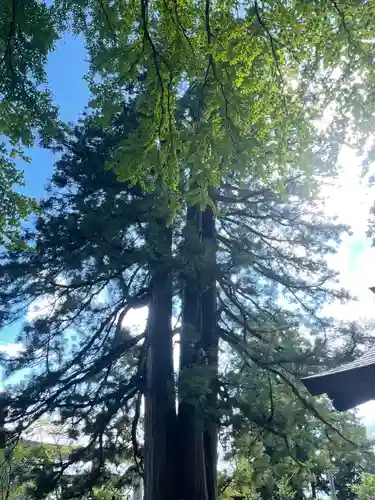 戸隠神社中社(長野県)