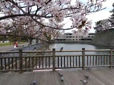 福井神社(福井県)