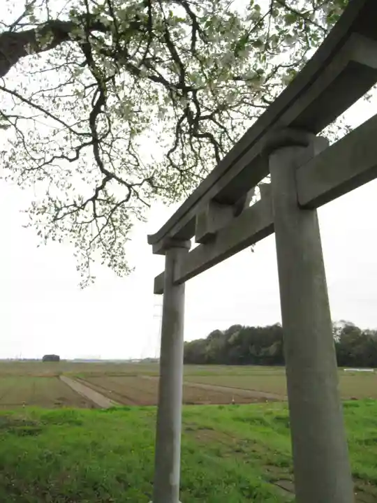 神明神社(千葉県)