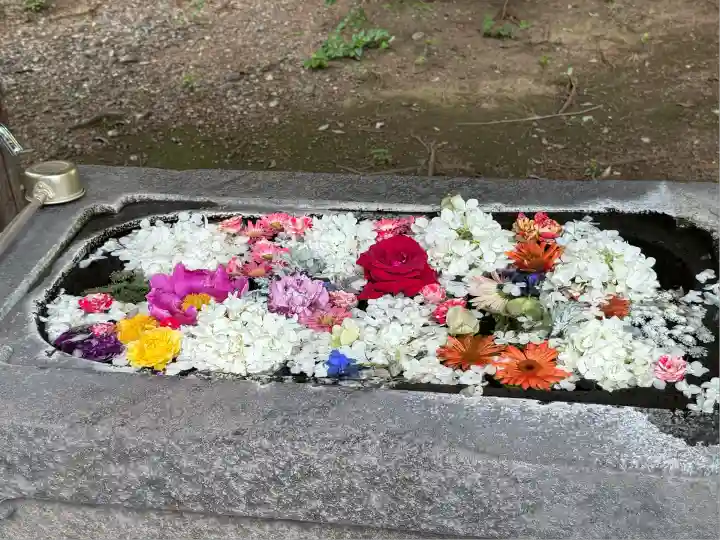 千代ケ岡八幡宮(栃木県)