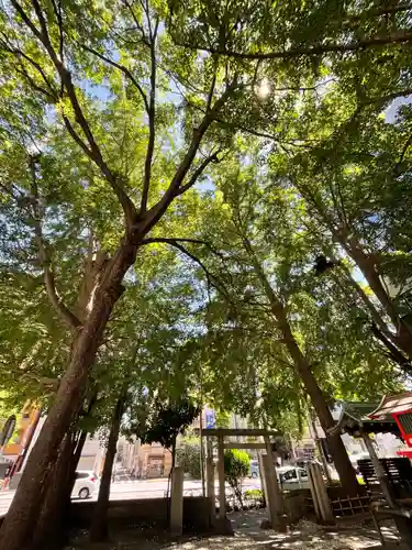 銀杏八幡宮の自然