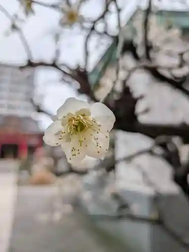 成子天神社(東京都)