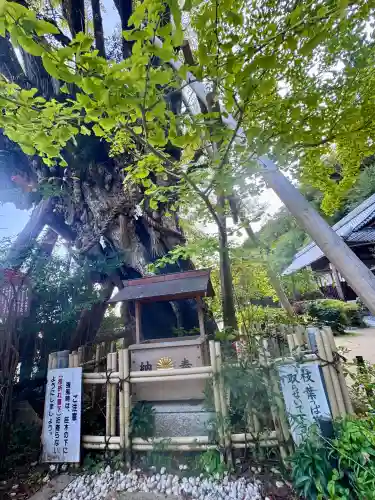 葛城一言主神社の{uncategorized: "未分類", other: "その他", undefined: "問題あり", building: "その他建物", grave: "お墓", sacred_gate: "鳥居", guardian: "狛犬", statue: "像", buddha: "仏像", history: "歴史", nature: "自然", garden: "庭園", animal: "動物", pagoda: "塔", temizu: "手水舎", mountain_gate: "山門・神門", sanctuary: "本殿・本堂", subordinate: "末社・摂社", art: "芸術", scenery: "景色", jizo: "地蔵", ema: "絵馬", goshuin: "御朱印", omikuji: "おみくじ", items: "授与品その他", amulet: "お守り", goshuincho: "御朱印帳", eats: "食事", festival: "お祭り", votive_dance: "神楽", shichigosan: "七五三参", wedding: "結婚式", experience: "体験その他", initially: "初詣", around: "周辺", anti_infection: "感染症対策"}