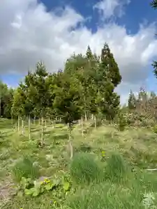 🌸乙部八幡神社(北海道)(2024年05月03日(金) 17時01分23秒投稿)