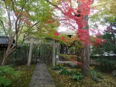 蓮華寺(洛北蓮華寺)の鳥居