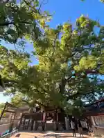 三島神社(大阪府)